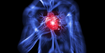 Запобігати серцево-судинним ускладненням за допомогою УЗД?