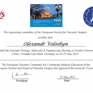 European Society for Vascular Surgery 